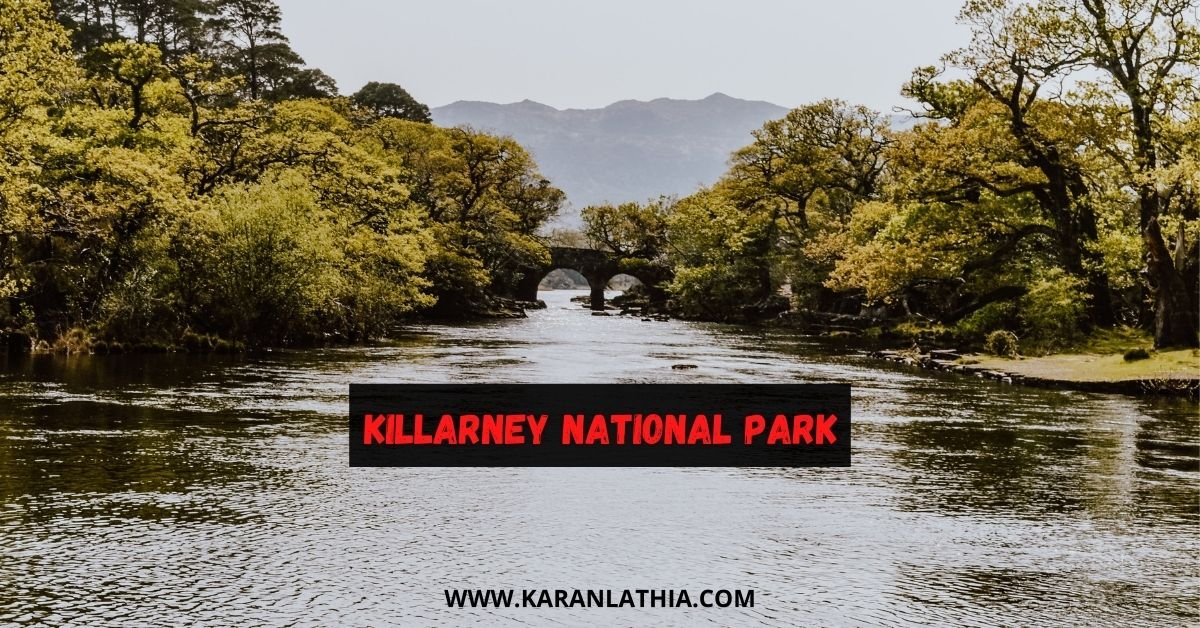 Killarney National Park: Walks, Hike, & Useful Guide (2024)