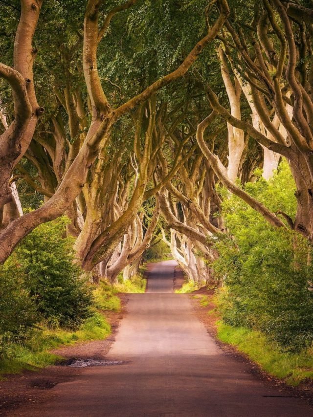 5 Places You Need To Visit in Northern Ireland