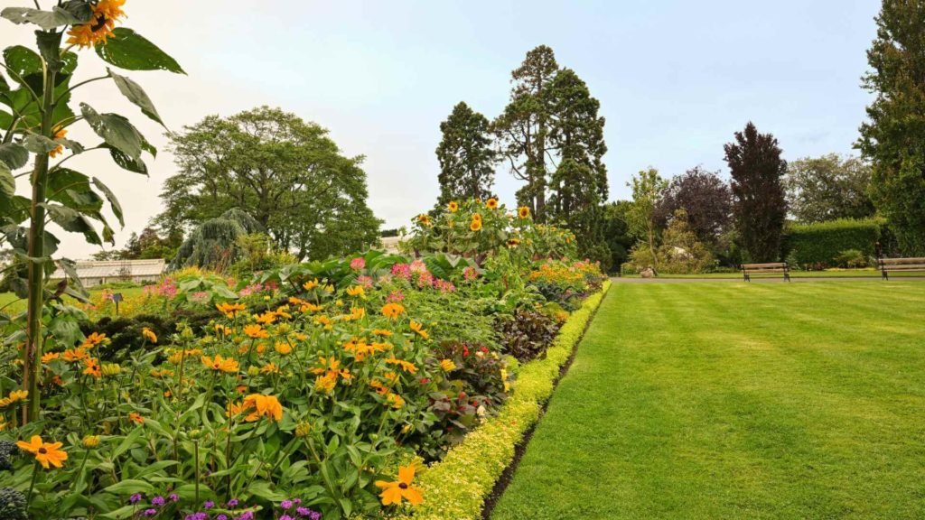 The National Botanic Gardens of Ireland 