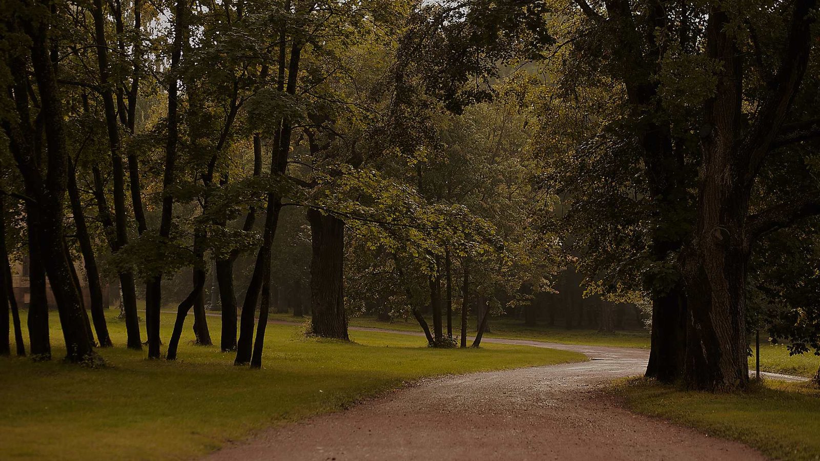 Guide To Beyond The Trees At Avondale Forest Park in 2024