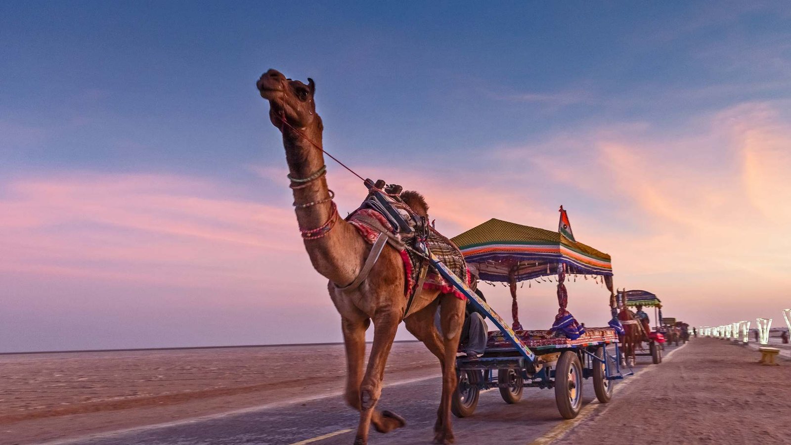Explore the Wonders of Kutch – Detailed Travel Guide