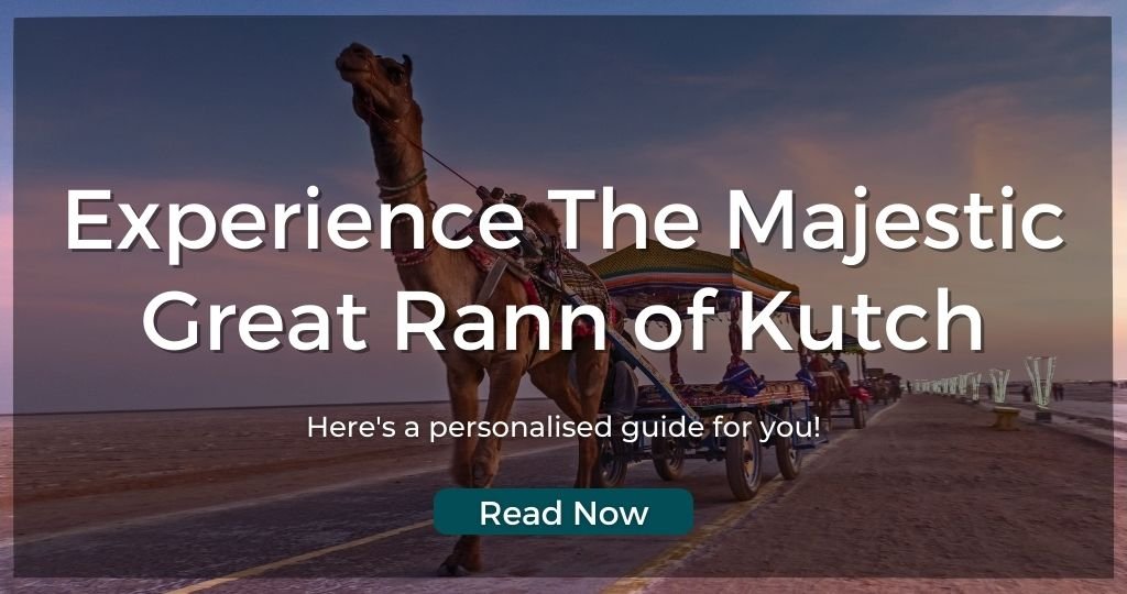 Exlore The Wonders Of Kutch