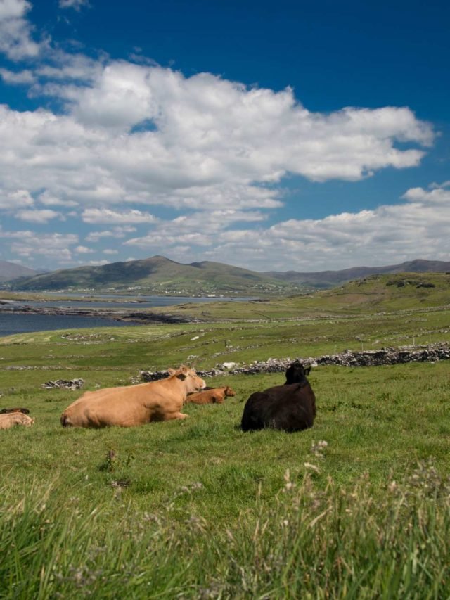 Valentia Island: Hidden Gem Of Ireland You Need To Check Out