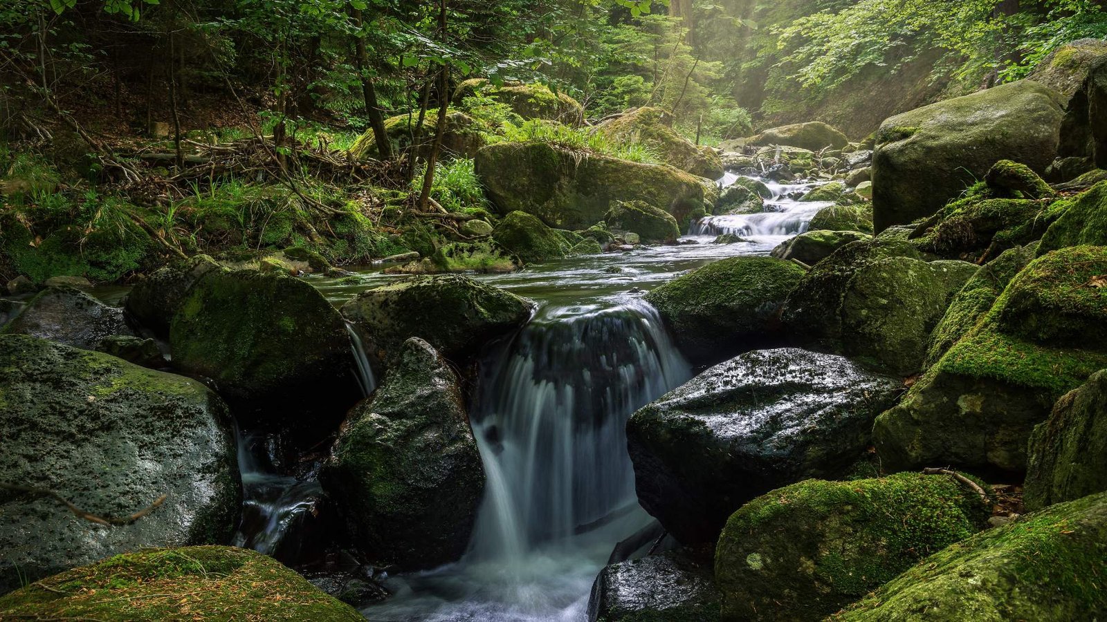 10 Best Waterfalls In Lonavala For 2024