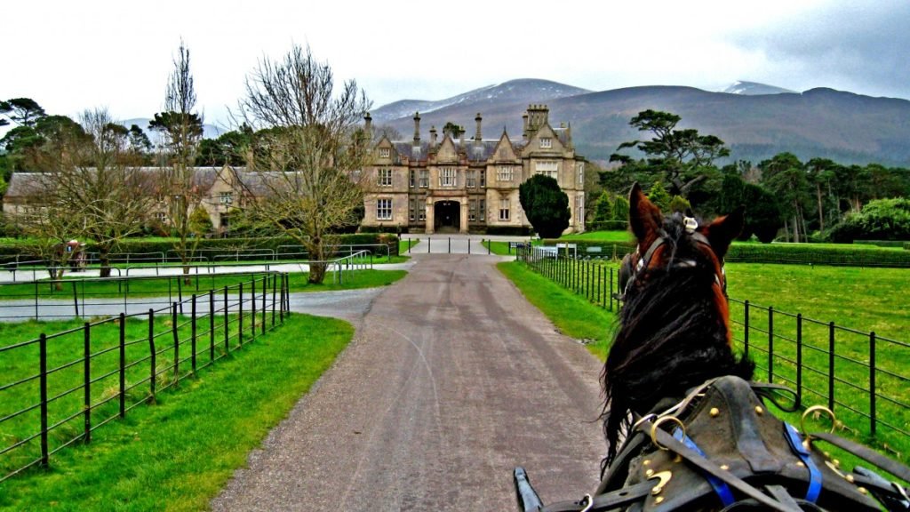 Killarney national park